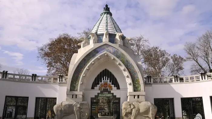 Újabb hírek és fotók érkeztek az Alföldön talált kistigrisről