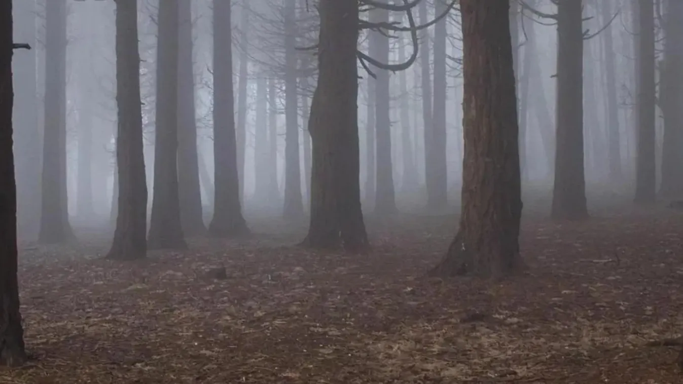 Holttestet talált Tokajnál egy kiránduló