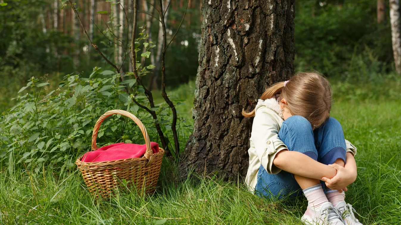 Kilencéves, gyászoló nevelt lányát molesztálta egy férfi