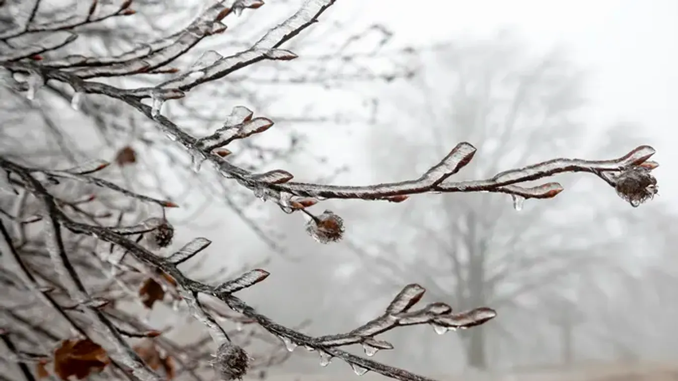 Durva cidrivel ér véget az év