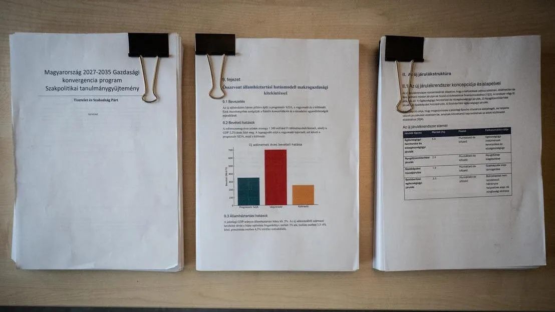 A Tisza csomag megalkotásában a régi balliberális gazdasági szakemberek vettek részt, így vélhetően Bajnai Gordon régi harcostársa, Felcsuti Péter is