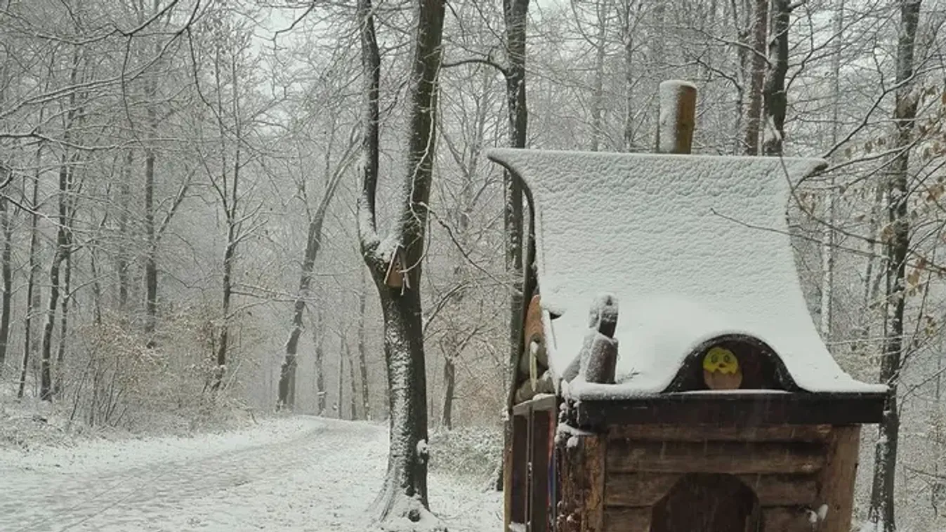 Csodálatos képek: Fehérbe borult magyar vidéket fotóztak karácsonykor