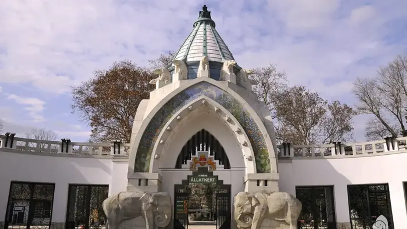 Új titokzatos lakó a fővárosi szavannán – a lányok izgatottan figyelik