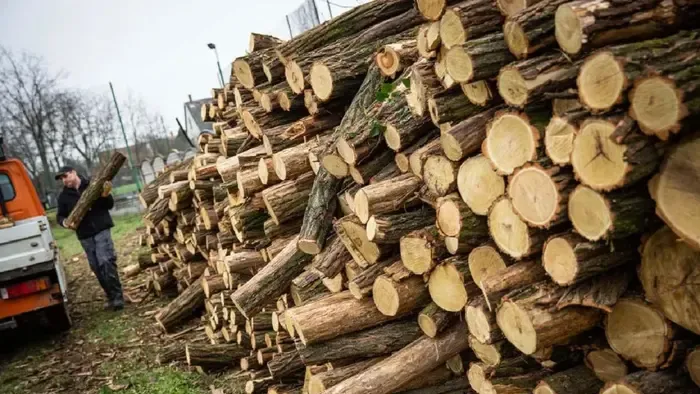 KTM: több mint 2300 kistelepülésen kapnak ingyenes tüzelőanyagot a rászorulók