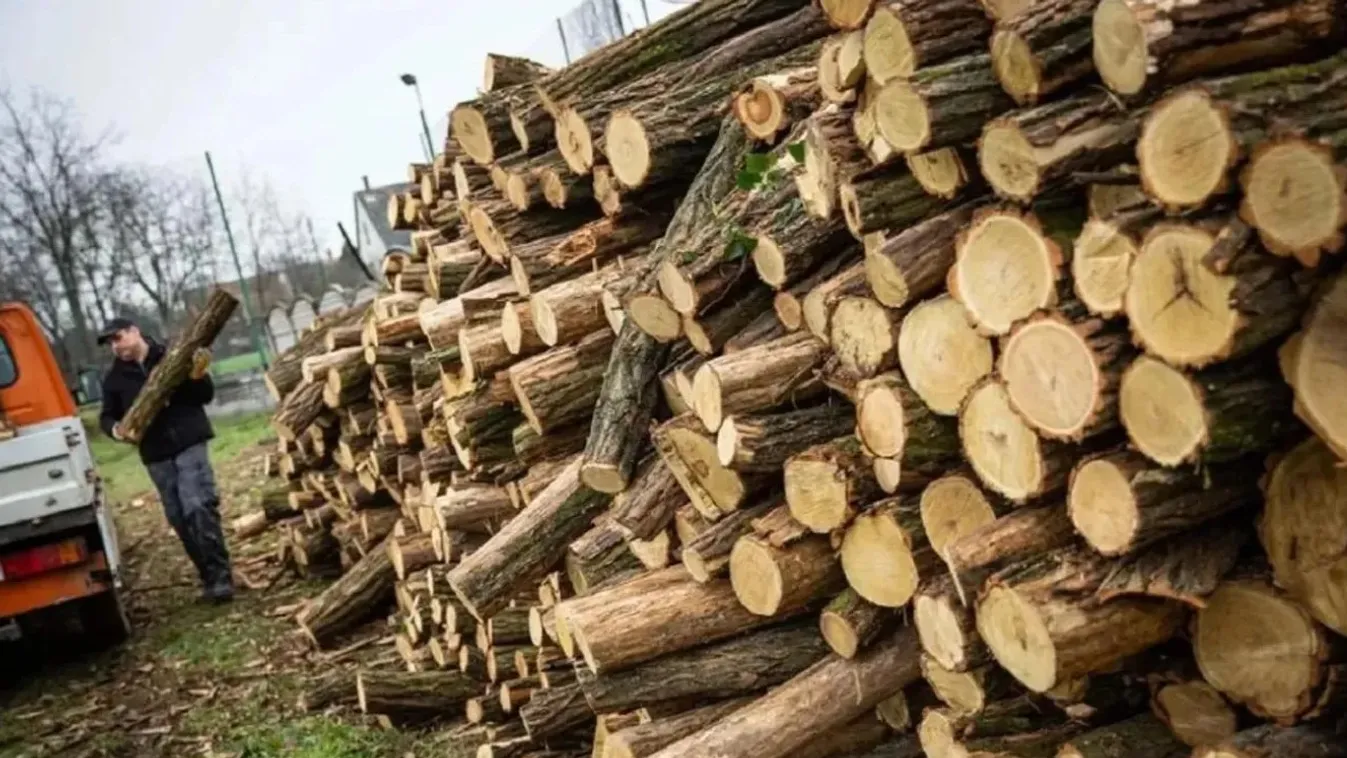 Operatív Törzs: január 15-e óta 4901 köbméter tűzifát biztosított az állam a rászorulóknak