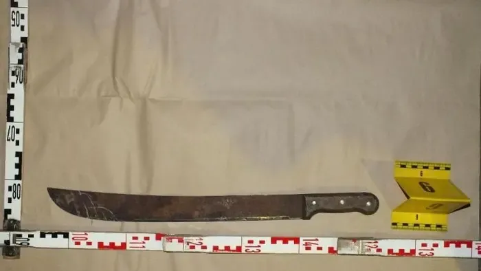 Bozótvágóval esett neki munkatársának egy férfi Gyömrőn