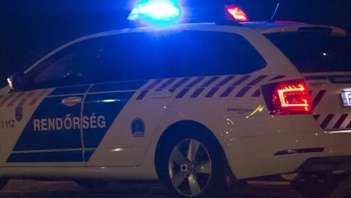 Mozdulatlan áldozatot találtak Ároktőnél, autó üthette el - Fotó