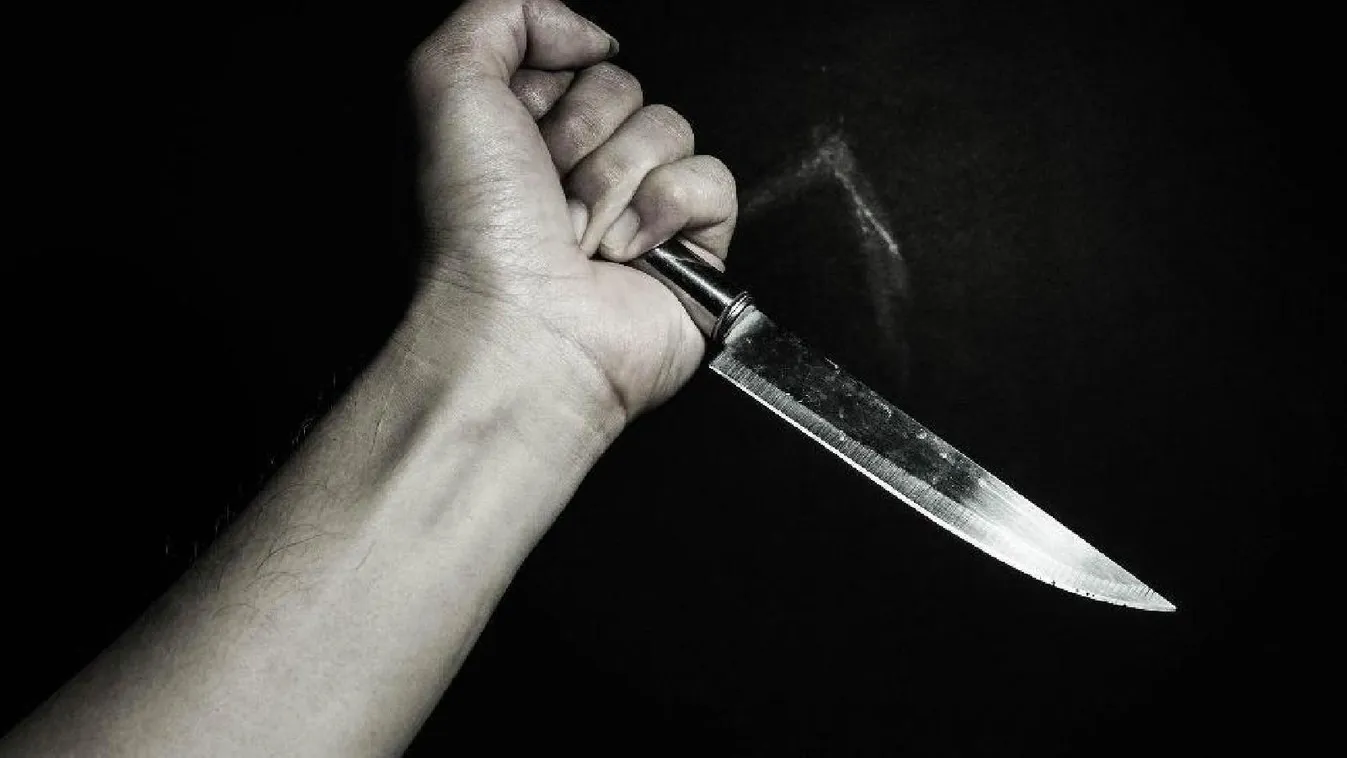 Minden vágya az volt, hogy börtönbe kerüljön