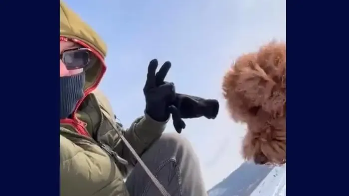 Síelő madarakat kapott lencsevégre Tilla, az élményt követőivel is megosztotta