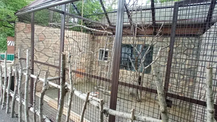 140 grammos, szinte arasznyi állatok költöztek a Gyöngyösi Állatkertbe