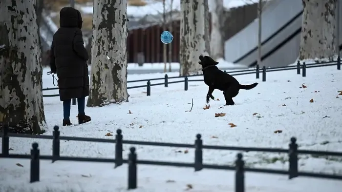 Egy kisállat elvesztése súlyosabb lelki sebeket hagyhat, mint sokan hiszik