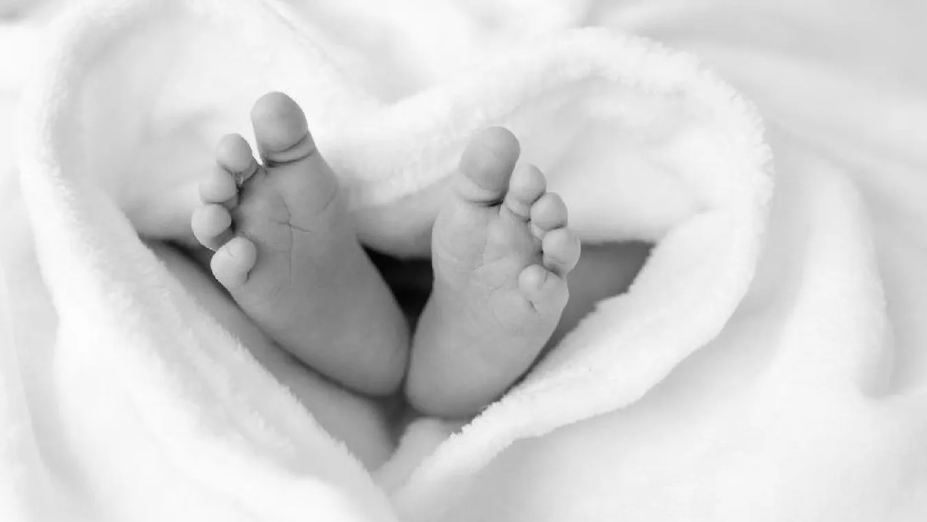 Csecsemőholttestet találtak egy lakásban