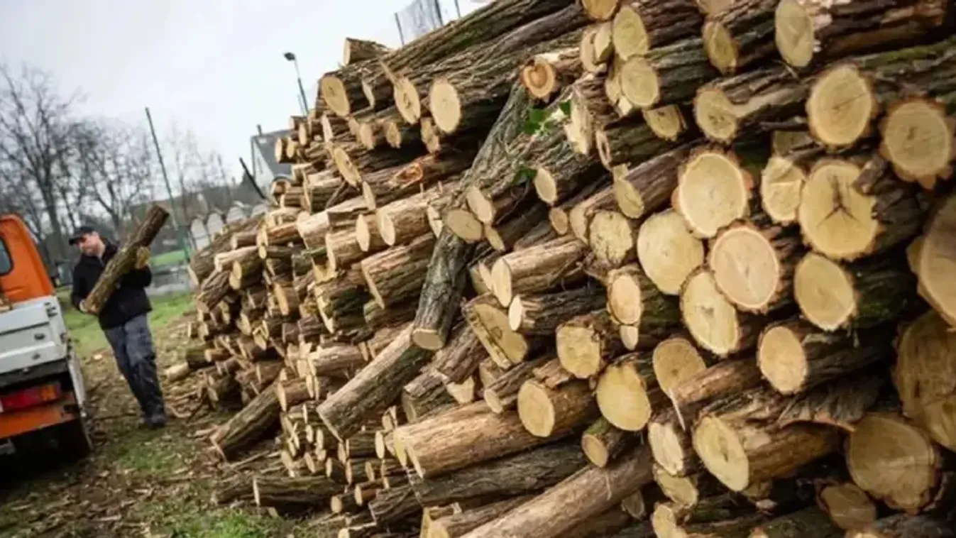 Operatív Törzs: január 15-e óta 4901 köbméter tűzifát biztosított az állam a rászorulóknak