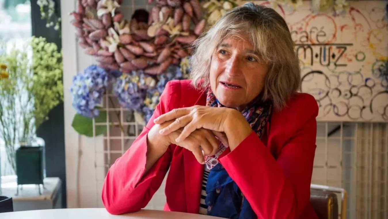 A tiszás szakértő szerint a rezsicsökkentés nem jó, az adókat emelni kell