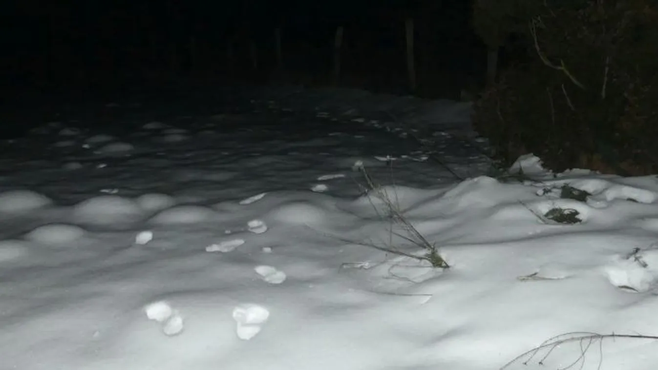 Még a lábát is eltörte a zsákmányért egy betörő Zajkon - Fotók