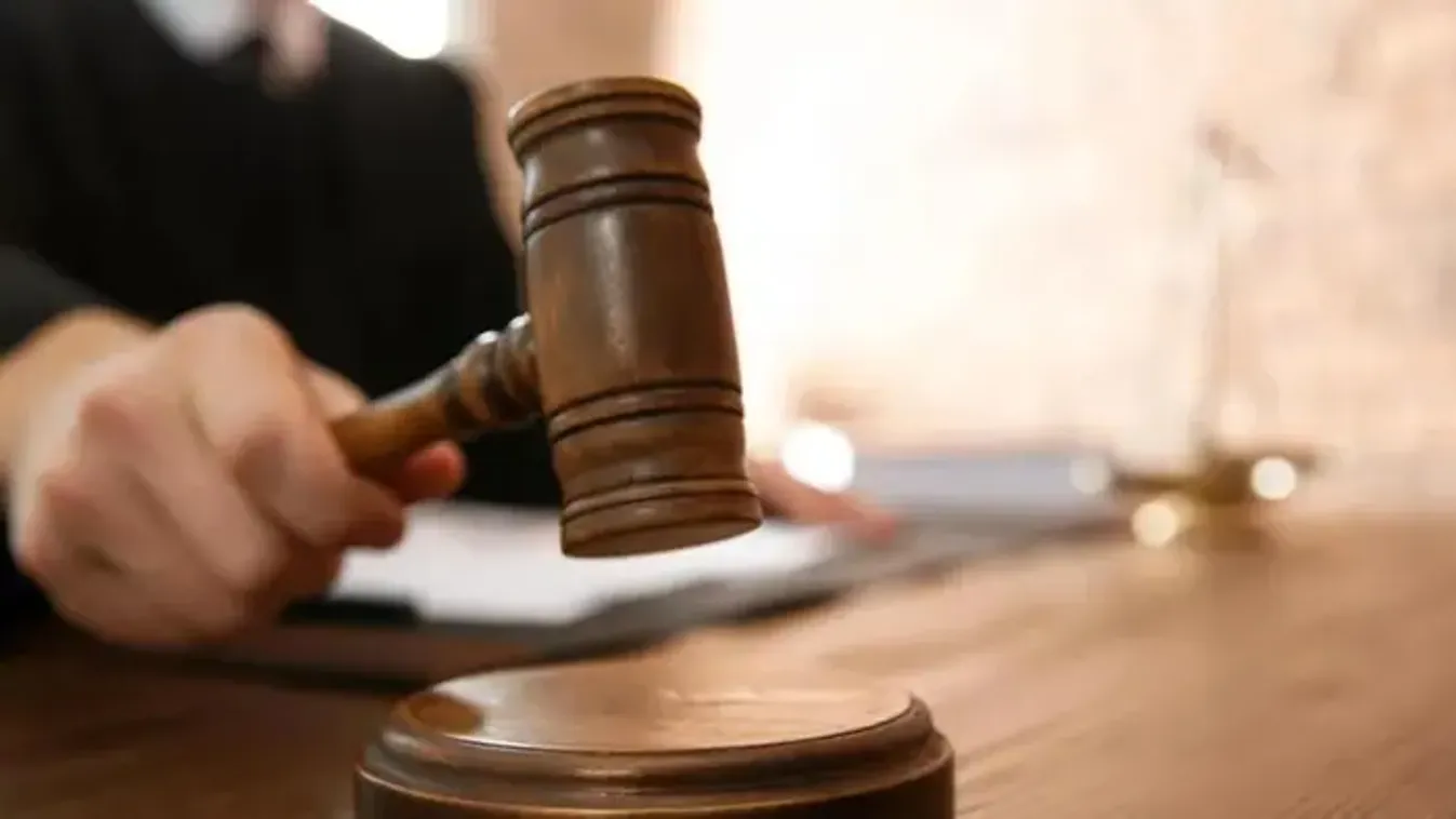 Különös kegyetlenséggel ölte meg jótevőjét