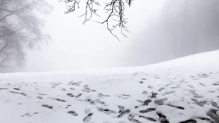 Dermesztő rekord dőlt meg éjszaka, hihetetlen számot közöltek