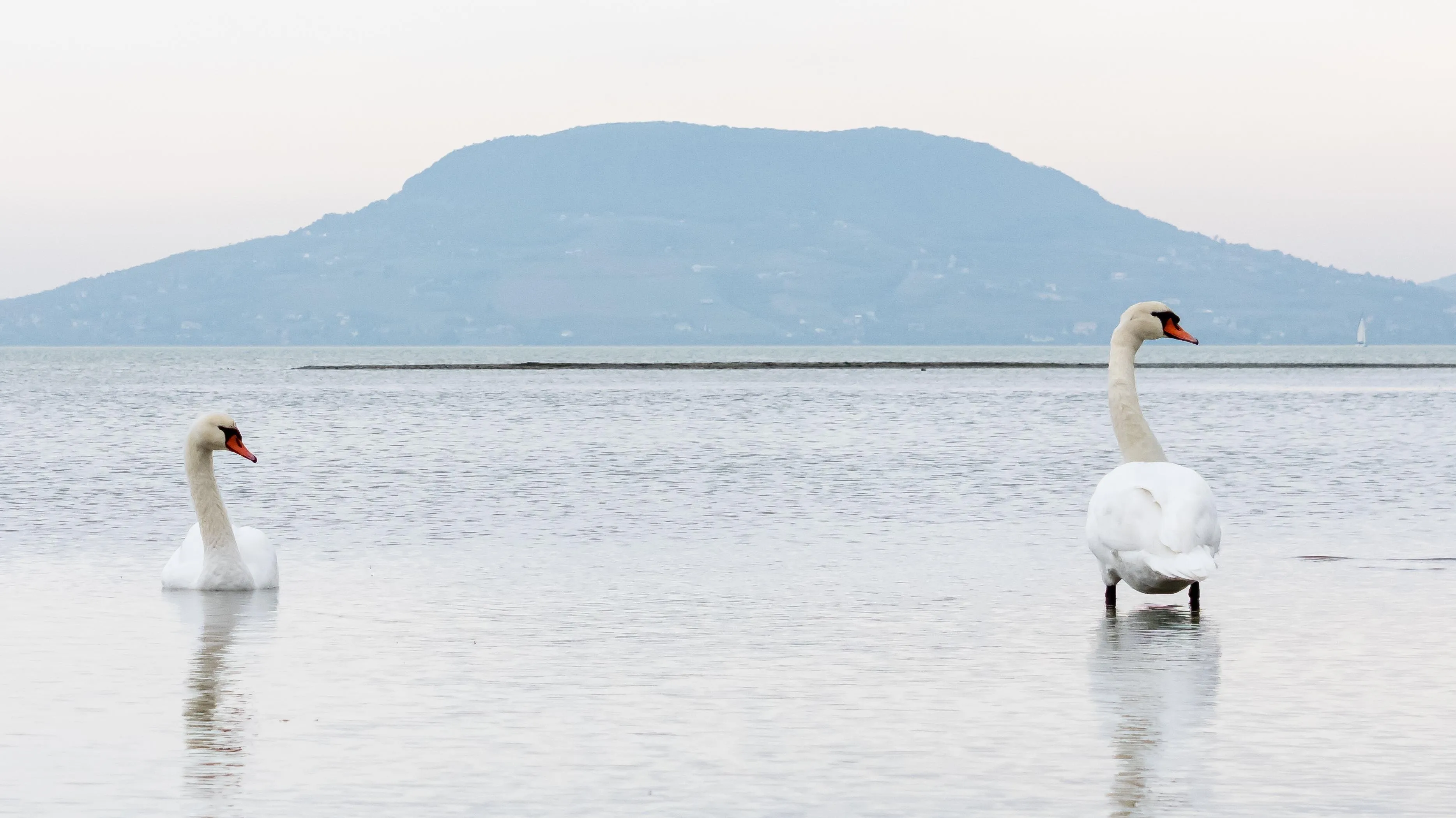 Novemberben is kirobbanó formát mutatott a hazai turizmus, 8 százalékkal több vendég érkezett hazánkba