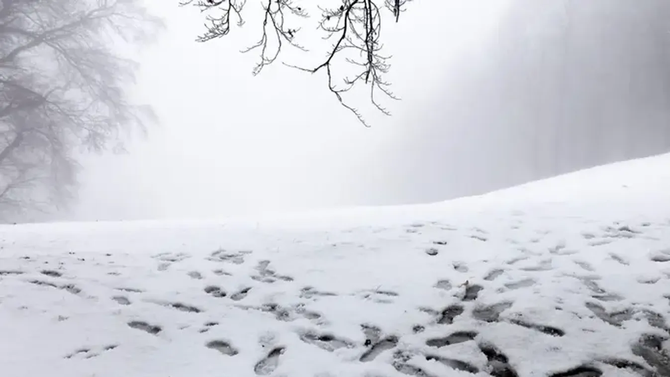 Dermesztő rekord dőlt meg éjszaka, hihetetlen számot közöltek