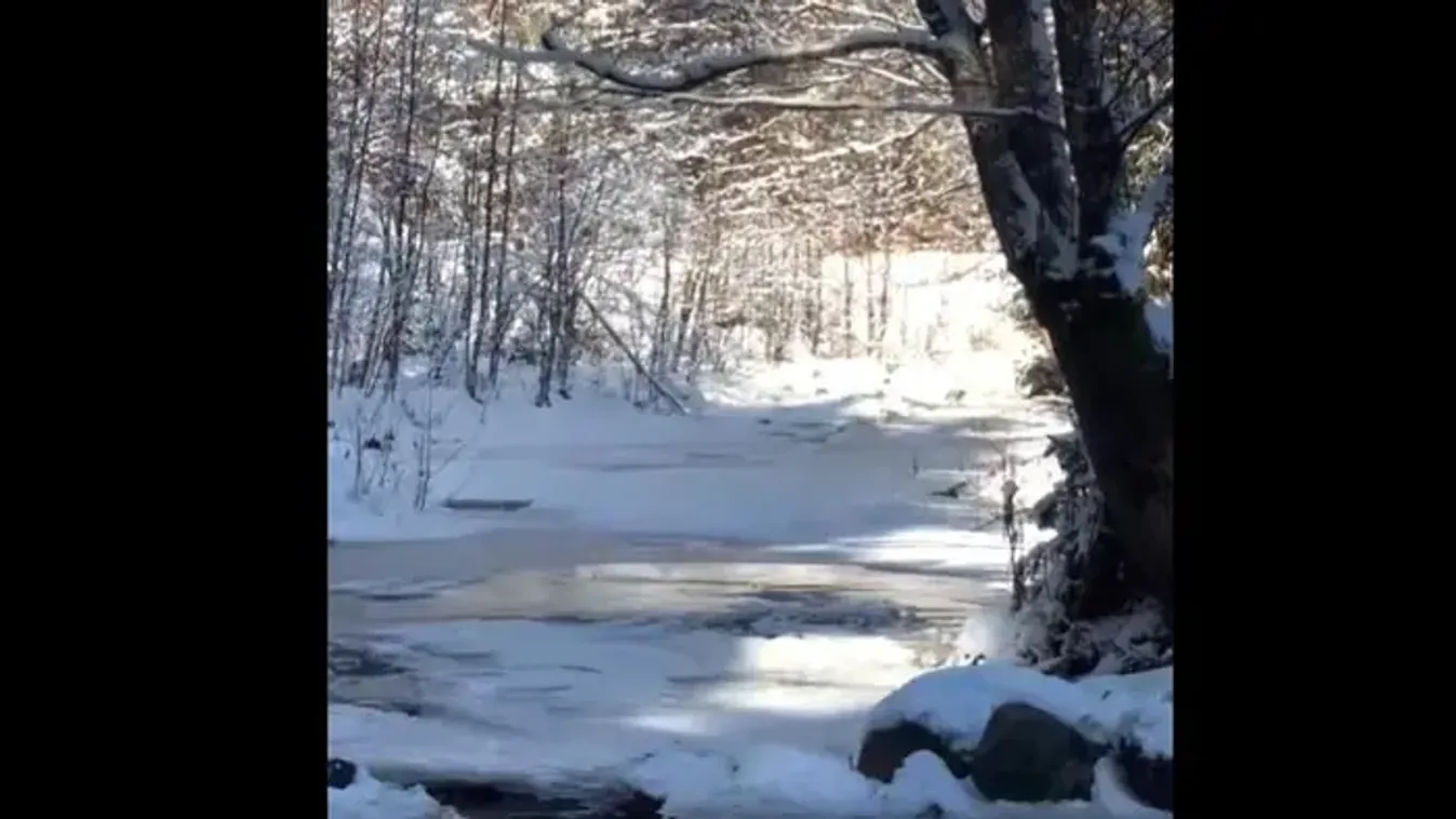 Ismert magyar énekesnő az, aki pár napja anyaszült meztelenül bukkant fel Erdély egyik jeges tavában