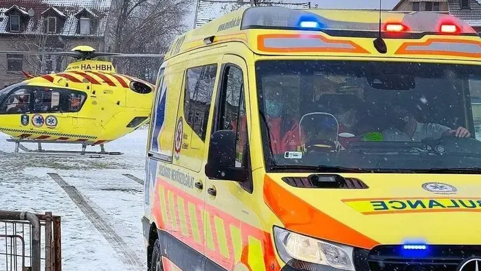 Élet-halál között lebeg egy 9 hónapos kislány, a család kutyája támadta meg Vácnál