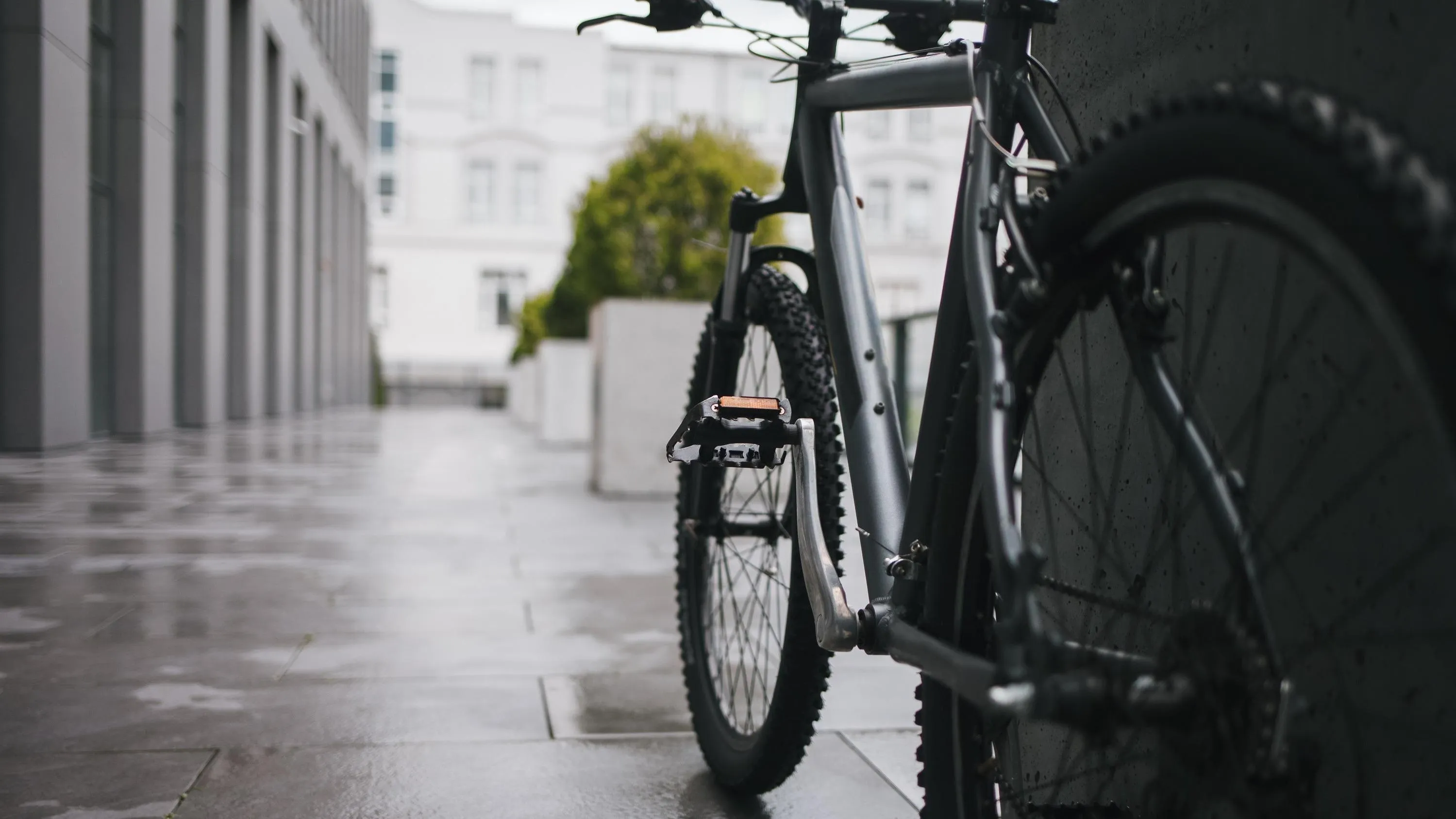 Aggódnak a helyiek: Szabadon ólálkodik a salgótarjáni rém