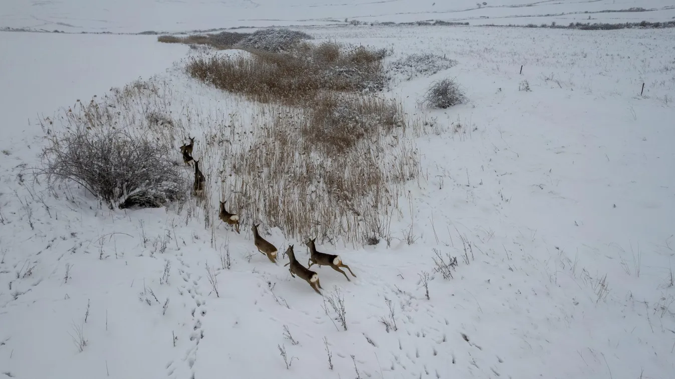 A Rétközi-tó nádasában találtak meg egy eltűnt férfit, szinte anyaszült meztelenül hevert a hóban