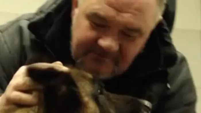 Tappancs műtétje és új kisbetegek: folytatódik a Vészhelyzet az állatkórházban