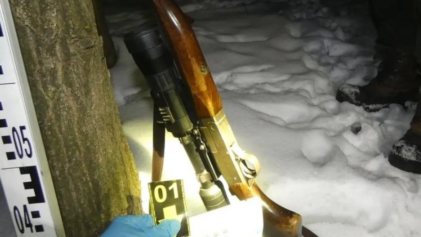 Puskával menekült az erdőbe Sárbogárdnál, elfogták