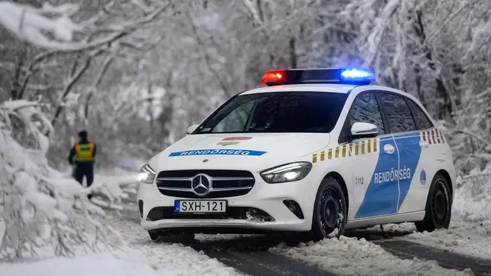 Ehhez tényleg erős gyomor kell! Undorító képek készültek egy csepeli utca végében