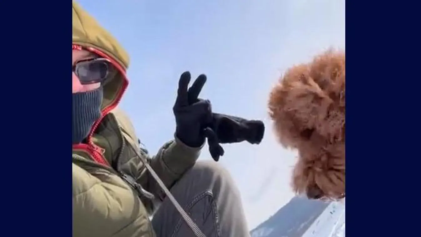 Síelő madarakat kapott lencsevégre Tilla, az élményt követőivel is megosztotta