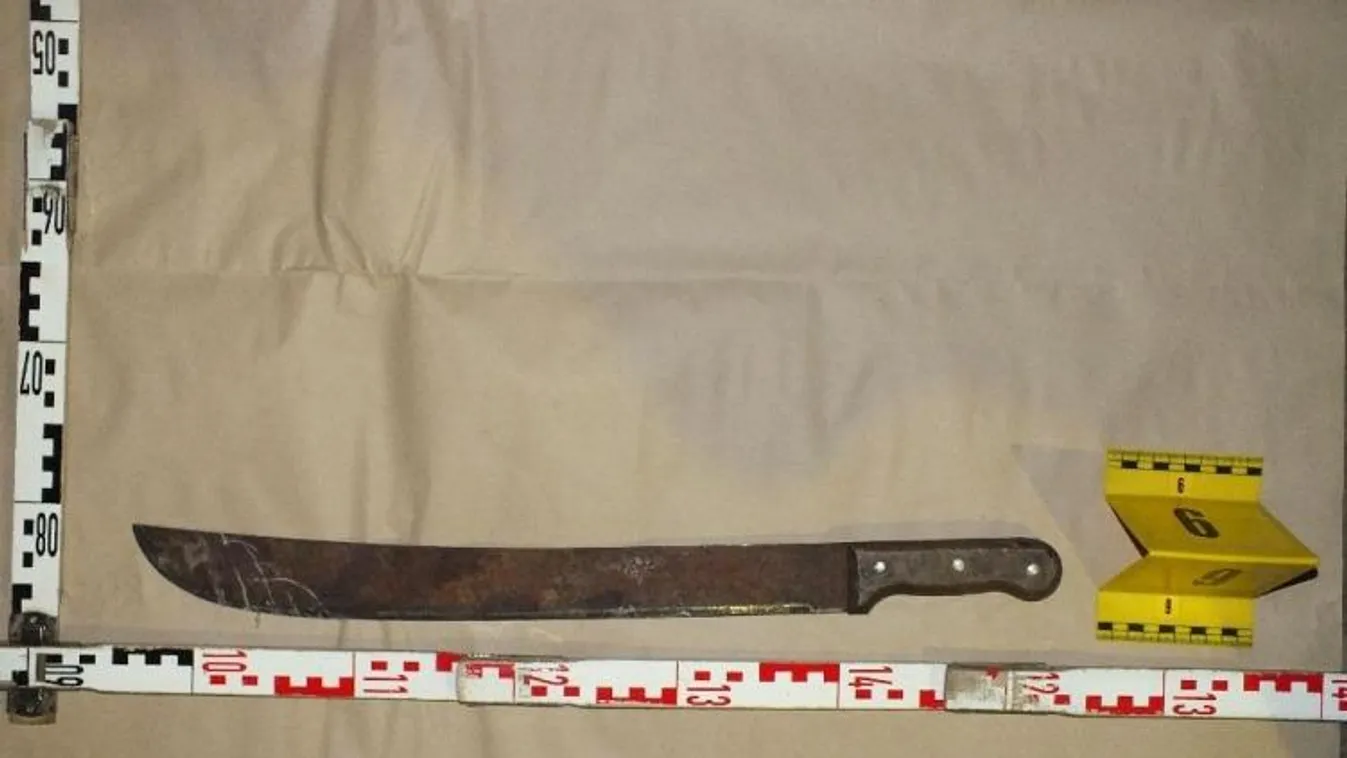 Bozótvágóval esett neki munkatársának egy férfi Gyömrőn