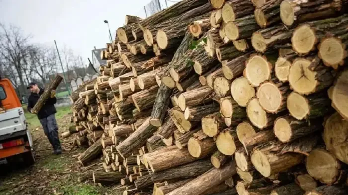 Operatív Törzs: a kormány által biztosított tüzelő kiosztását az önkormányzatok végzik