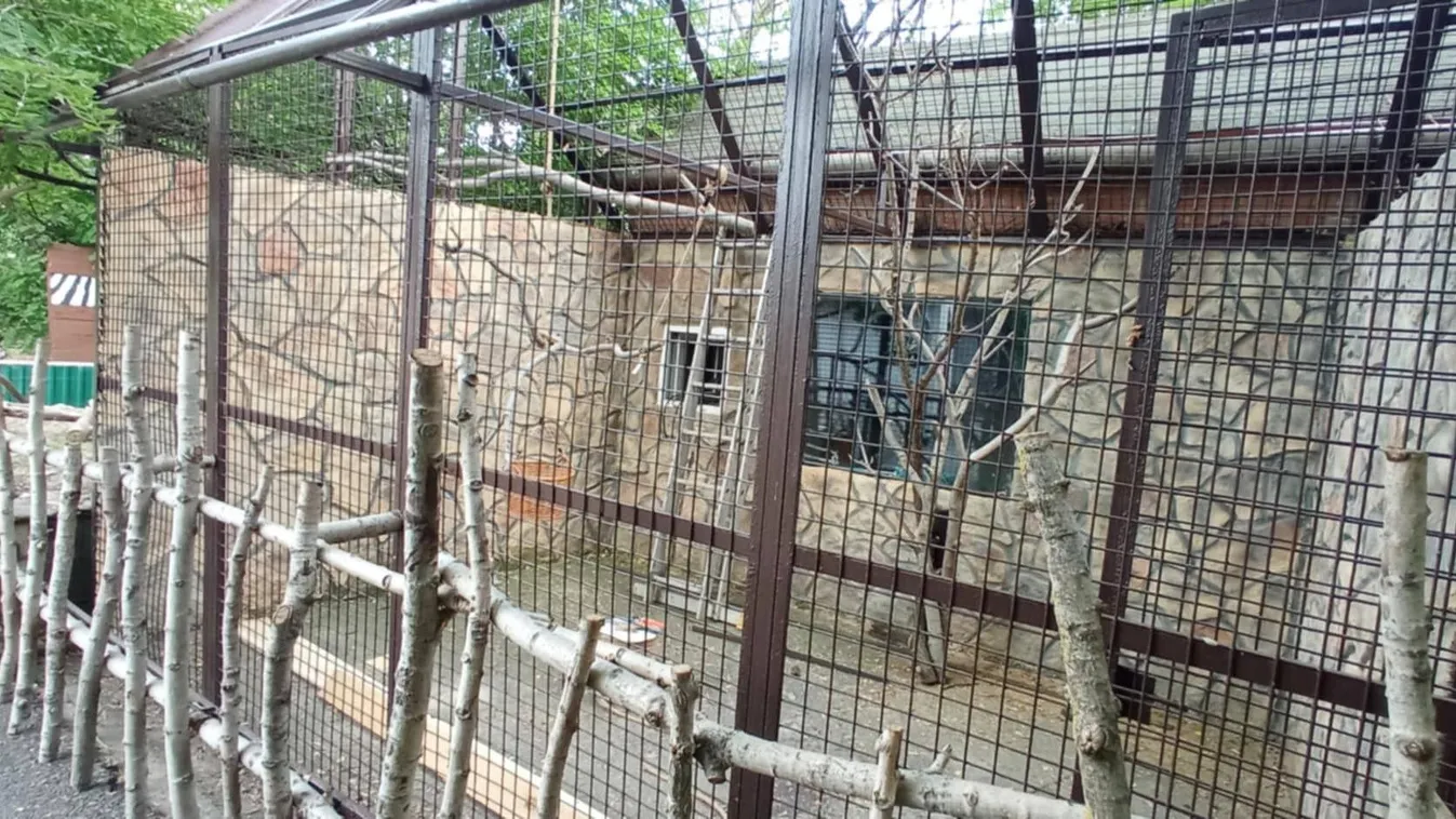 140 grammos, szinte arasznyi állatok költöztek a Gyöngyösi Állatkertbe