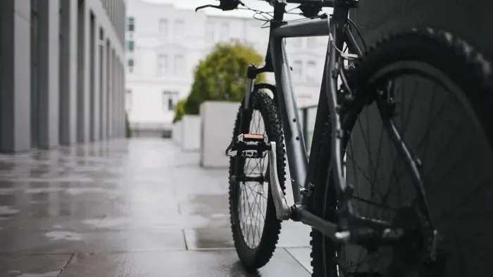 Aggódnak a helyiek: Szabadon ólálkodik a salgótarjáni rém