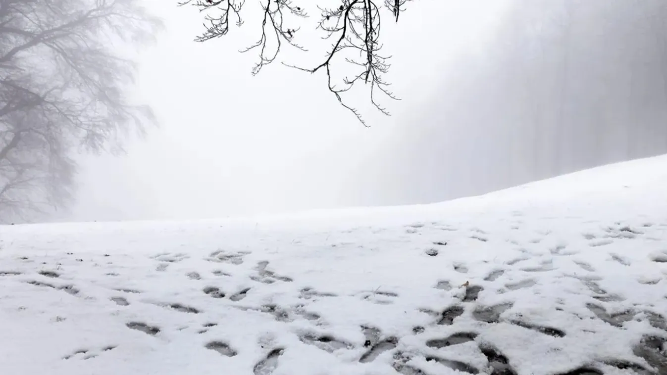 Rendkívüli veszélyre figyelmeztetnek a Mátrában, dermesztő nyomokra bukkantak