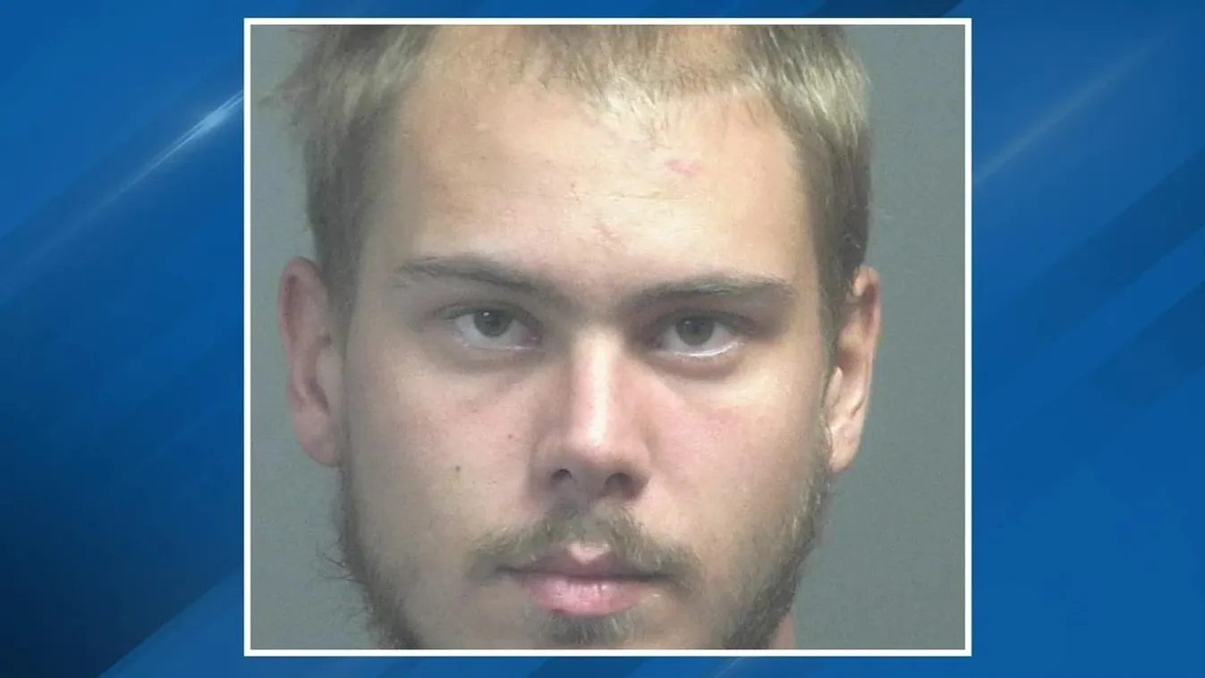 Tévénézés közben megkéselte anyját, majd folytatta a műsort