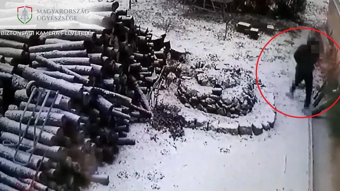 Videón a hevesi "láncfűrészes", egy családi ház udvarán akciózott
