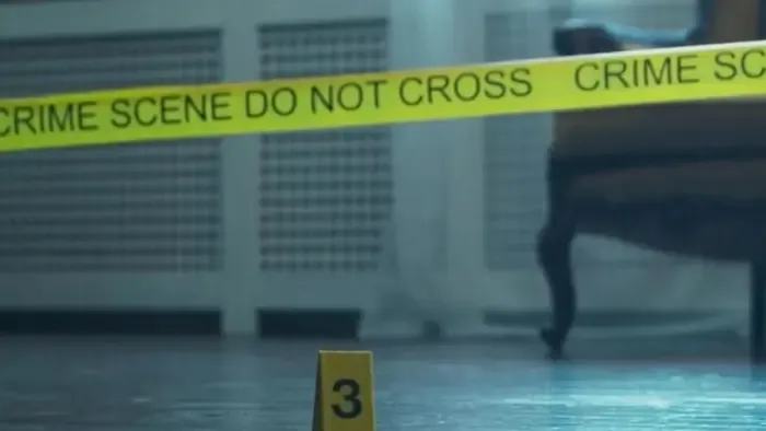 Holtan találtak két magyart Ausztriában, egy 19 éves lány és az apja az áldozat