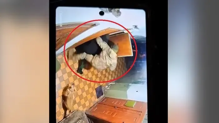 Kényszersorozás Ukrajnában: Zelenszkij emberei már a lakásokba is betörnek - videóval