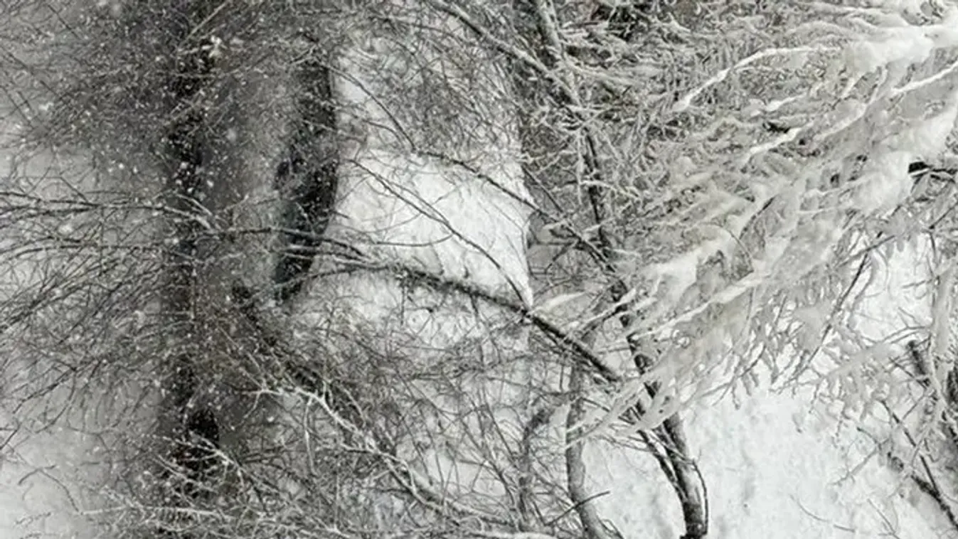 Ausztriában halálos áldozata is van a zordra fordult téli időjárásnak, Szlovéniában áramkimaradásokat okozott a hóesés