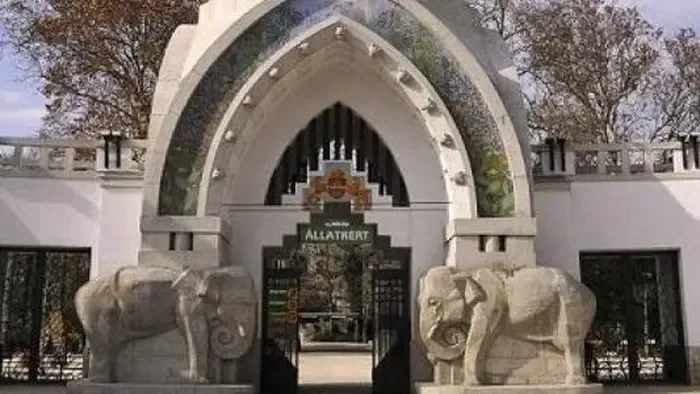 Hírt adott az állatkert az alföldi kistigrisről