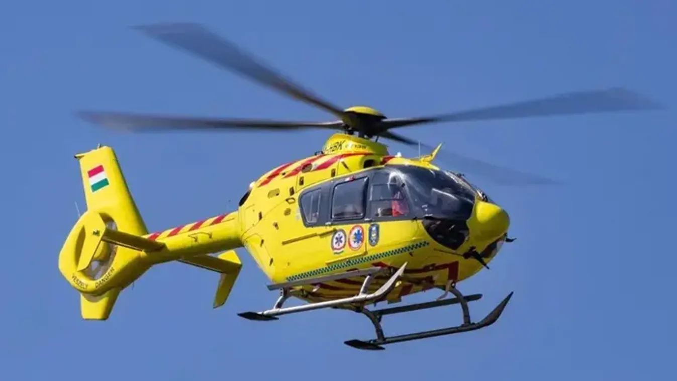 Különös jelenetre lett figyelmes egy postás Bács-Kiskunban, hősként ünneplik azóta