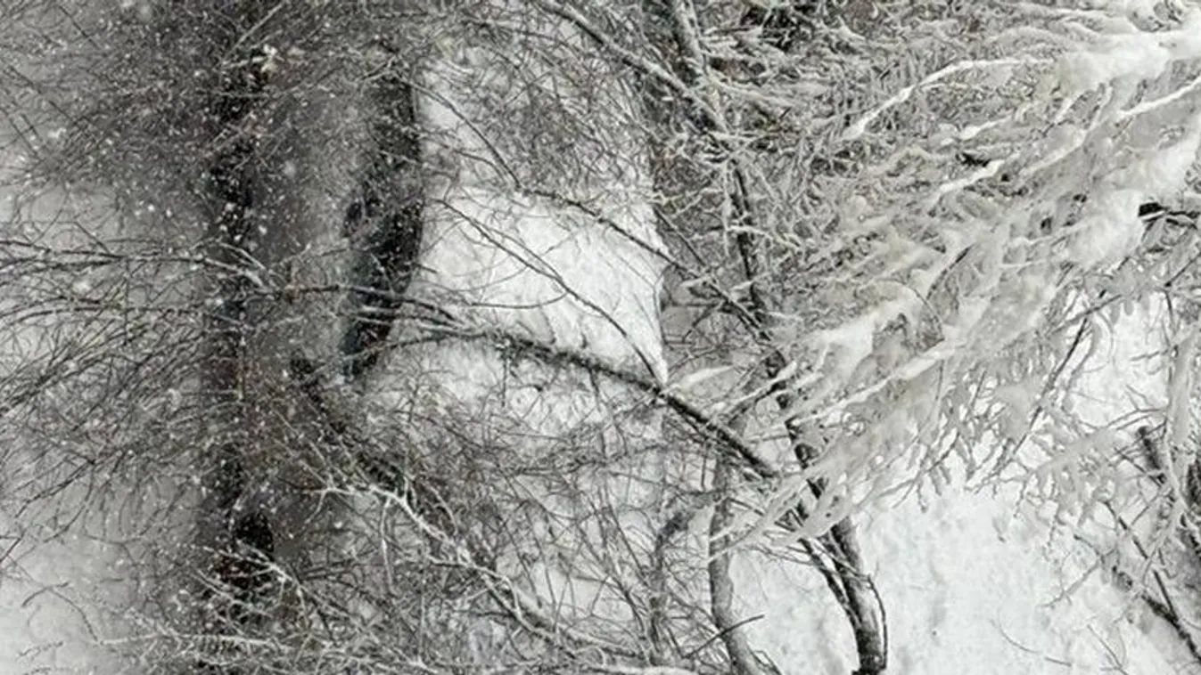 Ausztriában halálos áldozata is van a zordra fordult téli időjárásnak, Szlovéniában áramkimaradásokat okozott a hóesés