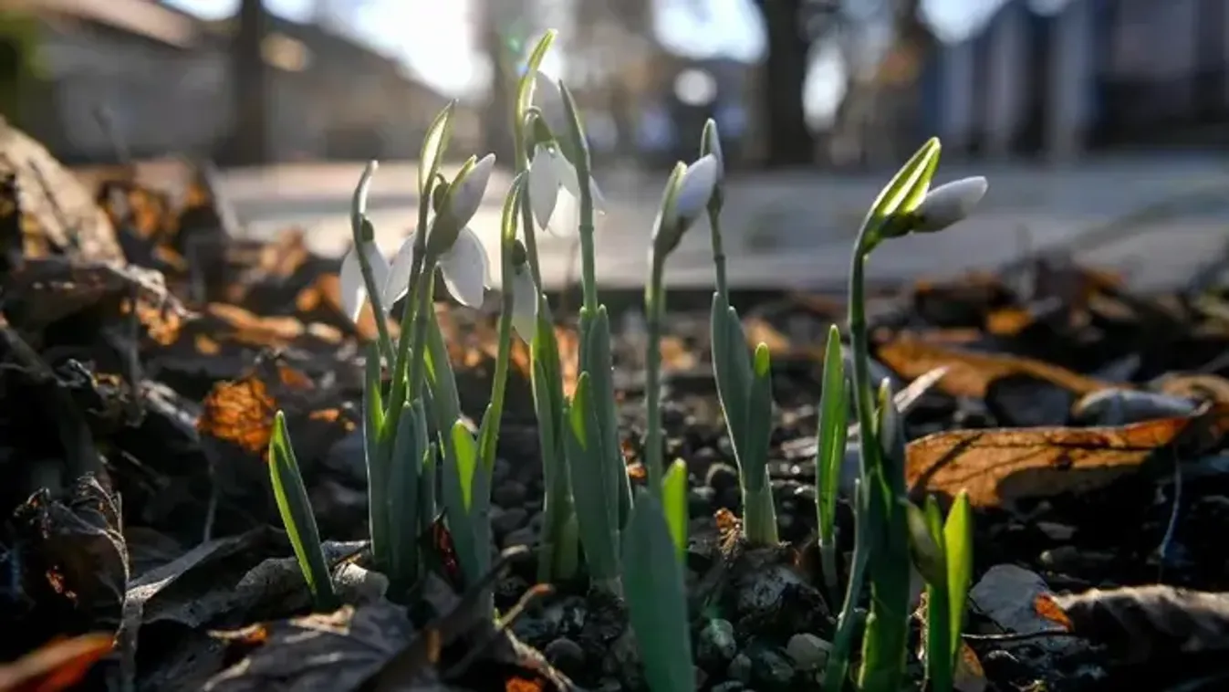 Durva változás jön az időjárásban, jobb, ha felkészül!