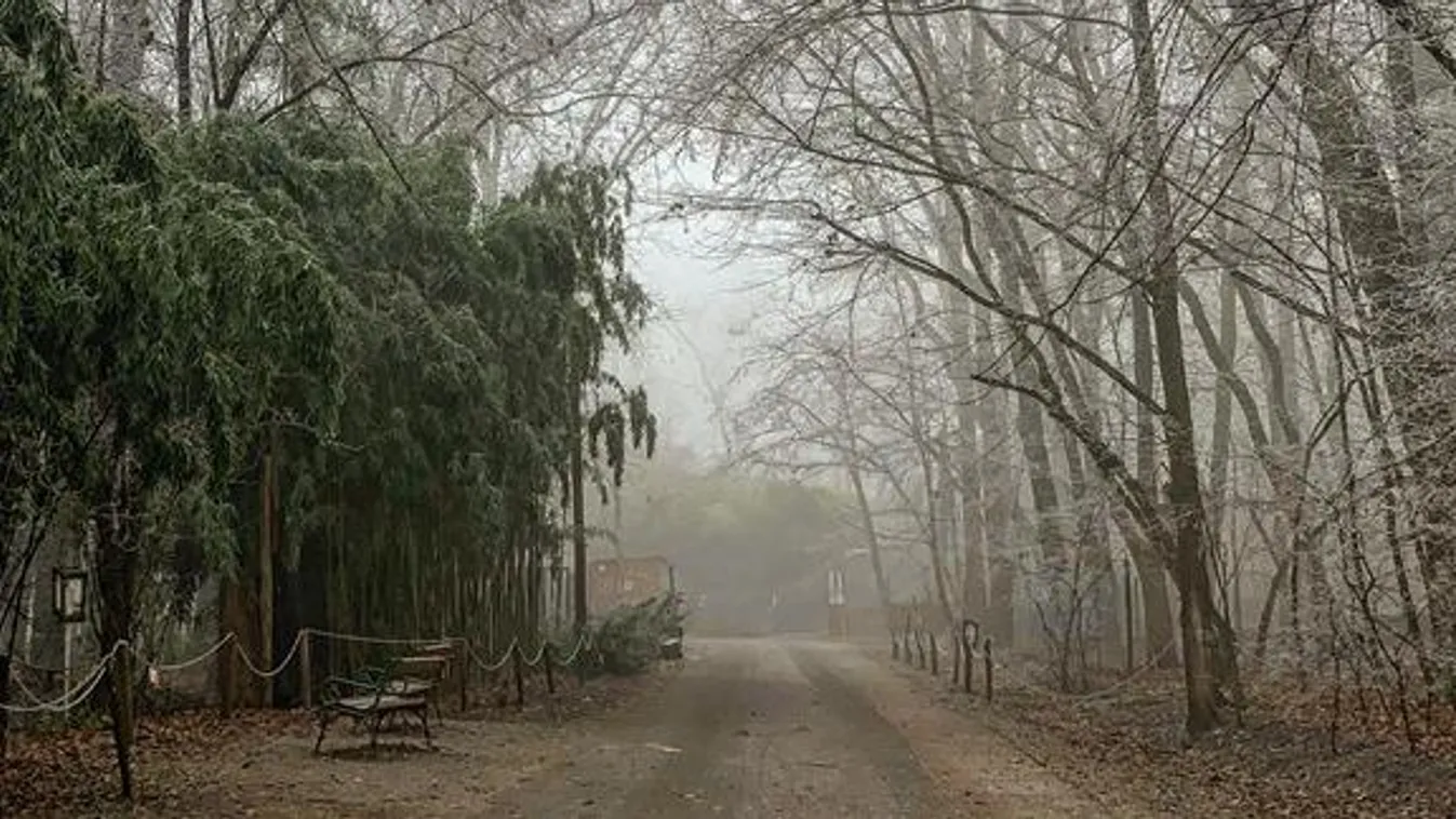 Így jósoltak a szegedi medvék, kiderült, meddig marad a tél – Videó