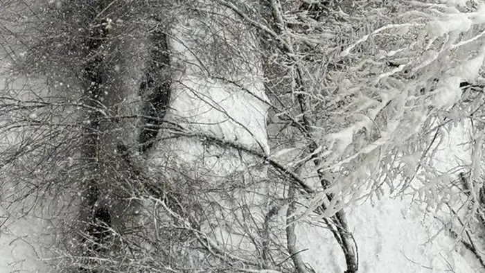 Ausztriában halálos áldozata is van a zordra fordult téli időjárásnak, Szlovéniában áramkimaradásokat okozott a hóesés