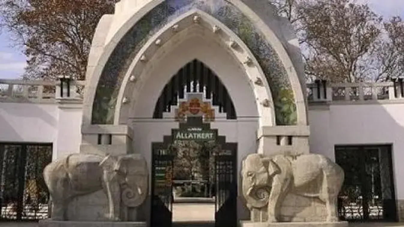 Hírt adott az állatkert az alföldi kistigrisről