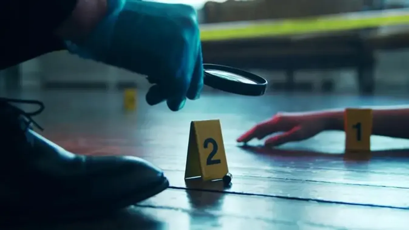 Szörnyű haláleset Szabolcsban: Holtan találtak egy férfit és macskáját