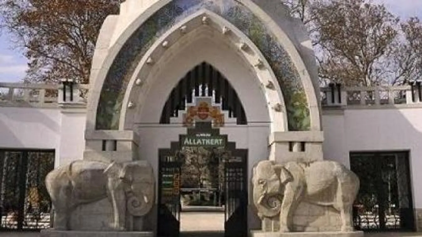 Hírt adott az állatkert az alföldi kistigrisről